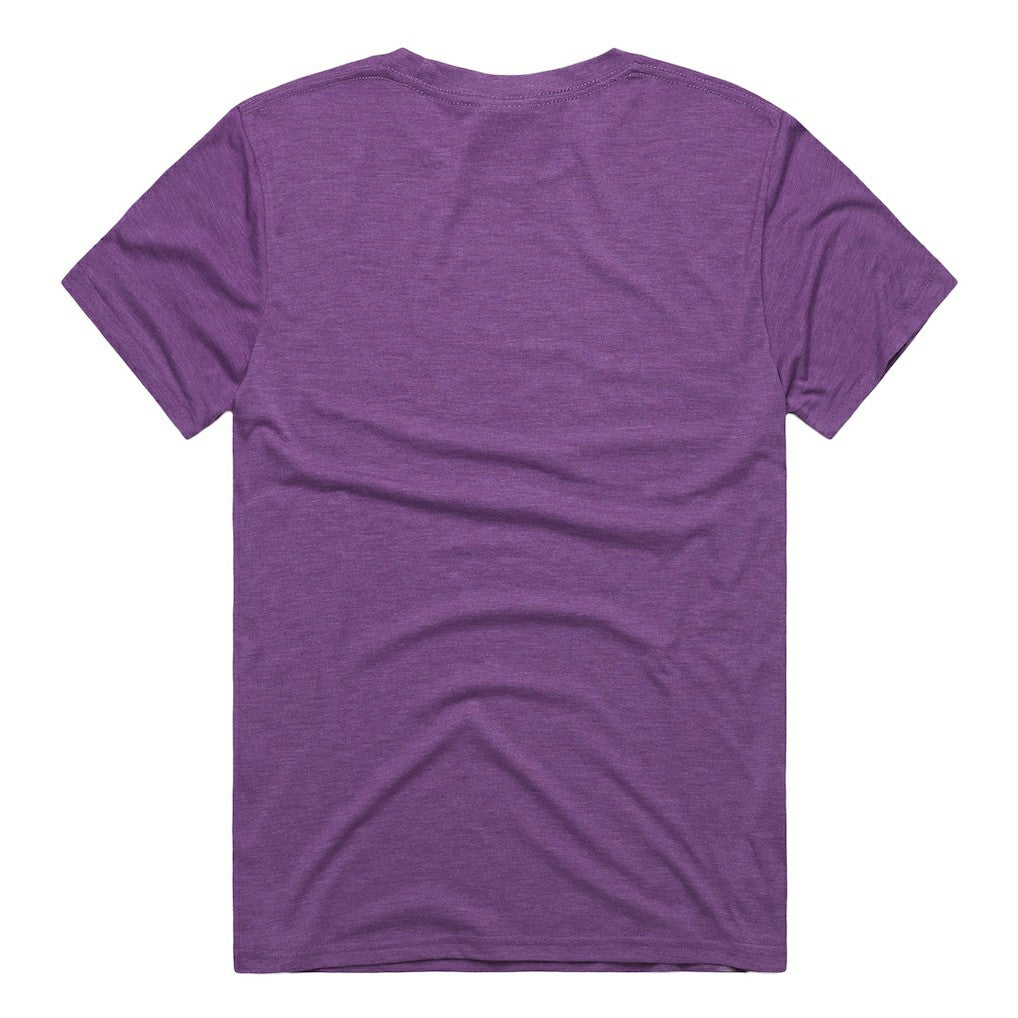 Minnesota Vikings Homage Unisex NFL ASL Collection by Love Sign Tri-Blend T-Shirt - Purple for sale