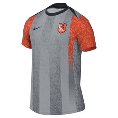 Chelsea 2025/26 Academy Pro Pre-Match Top - Gray shop