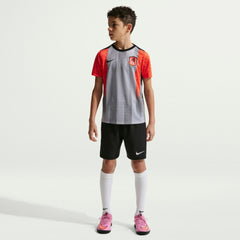Chelsea Youth 2025/26 Academy Pro Pre-Match Top - Gray cheap