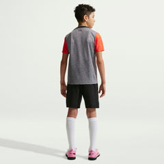 Chelsea Youth 2025/26 Academy Pro Pre-Match Top - Gray cheap