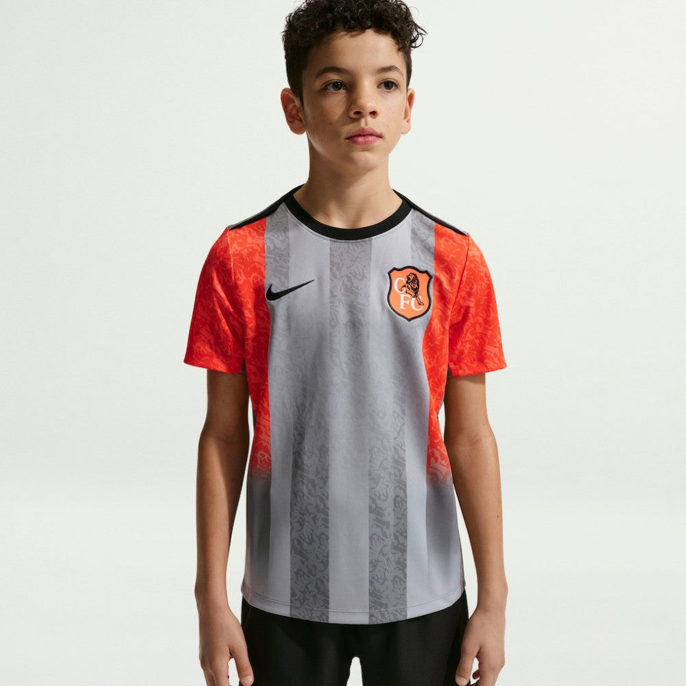 Chelsea Youth 2025/26 Academy Pro Pre-Match Top - Gray cheap