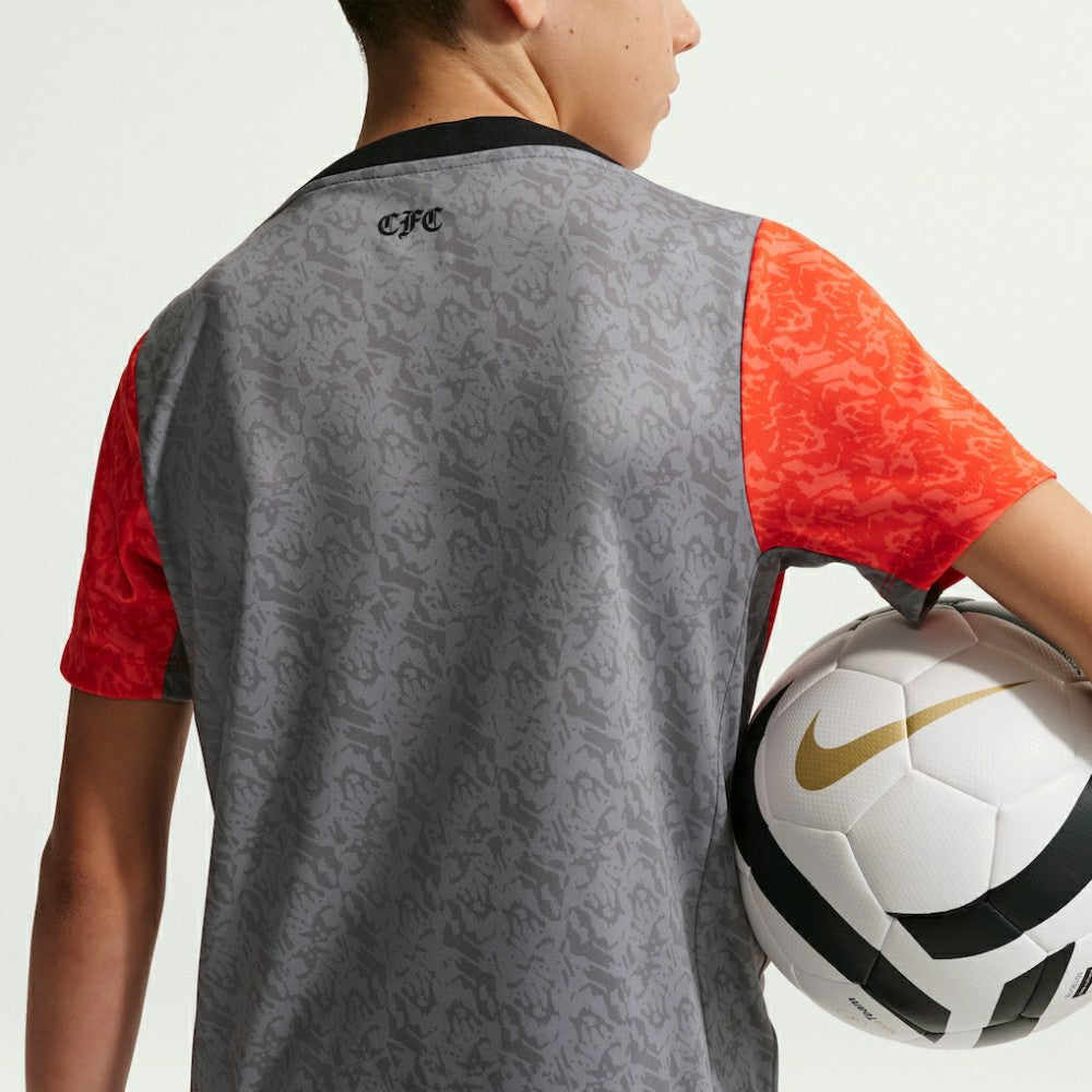 Chelsea Youth 2025/26 Academy Pro Pre-Match Top - Gray cheap