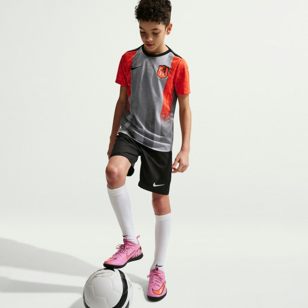 Chelsea Youth 2025/26 Academy Pro Pre-Match Top - Gray cheap