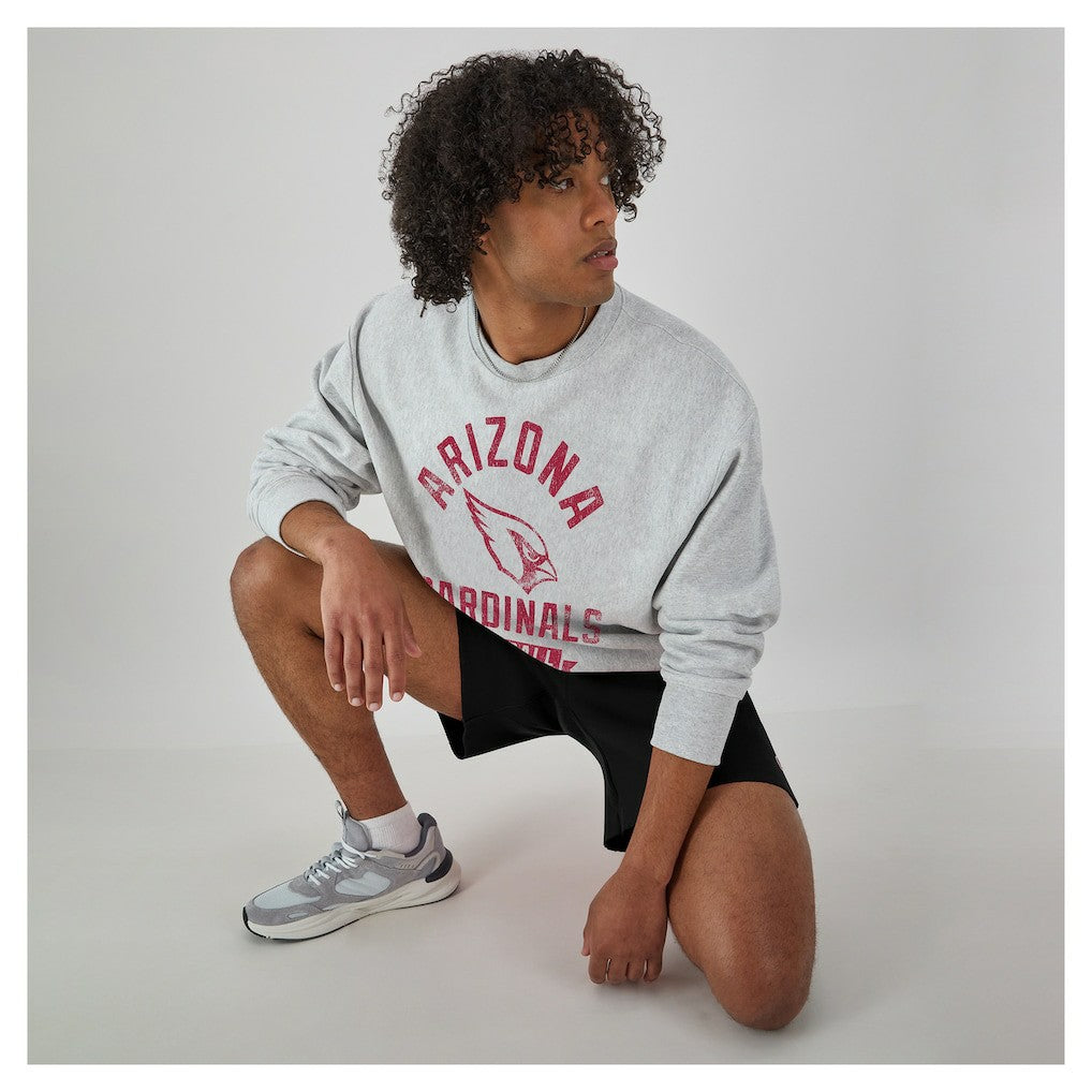 Arizona Cardinals Champion Reverse Weave Fleece Pullover Sweatshirt - Heather Gray discount