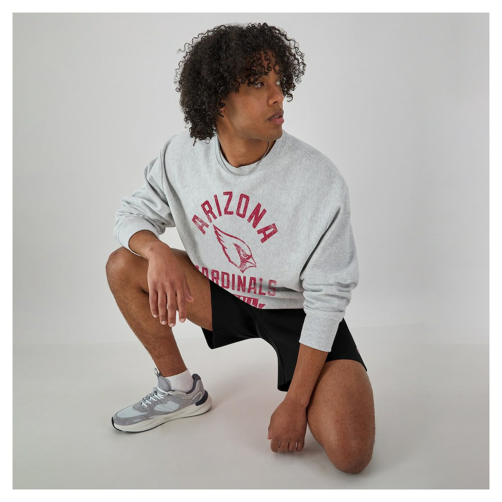 Arizona Cardinals Champion Reverse Weave Fleece Pullover Sweatshirt - Heather Gray discount