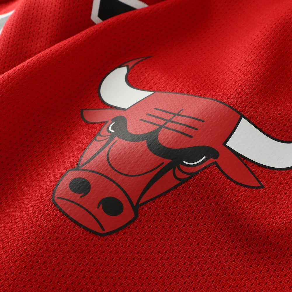 Dennis Rodman Chicago Bulls Big & Tall NBA Hockey Jersey - Red for sale