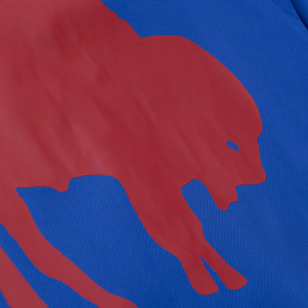 Buffalo Bills Coaches Full-Snap Hooded Windbreaker Jacket - Royal sale