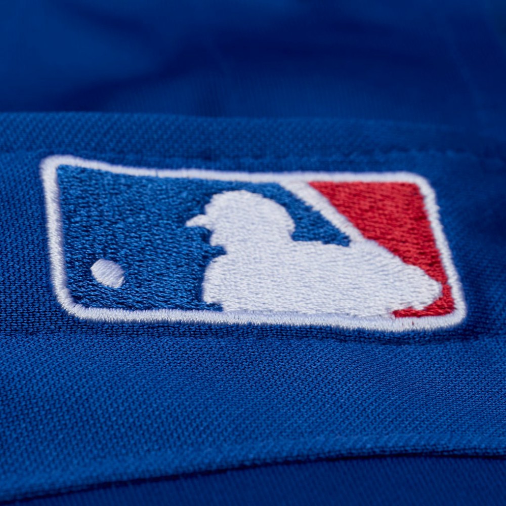 Adrian Beltre Texas Rangers Cooperstown Mesh Batting Practice Button-Up Jersey Royal