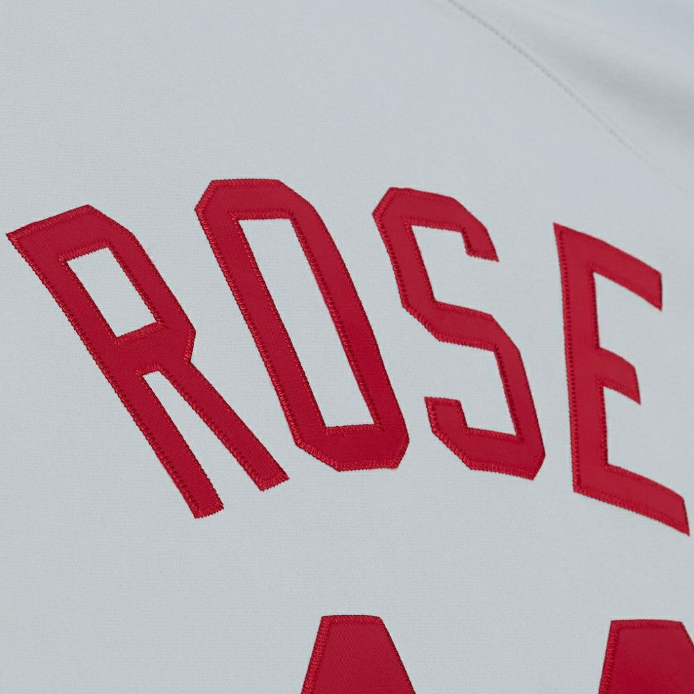 Pete Rose Cincinnati Reds 1976 Authentic Jersey Gray
