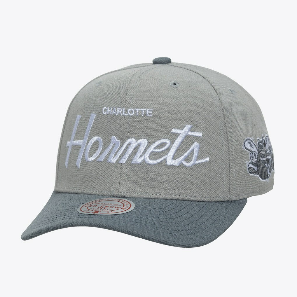 Charlotte Hornets Thunderstorm Head Coach Pro Crown Snapback Hat - Gray sale