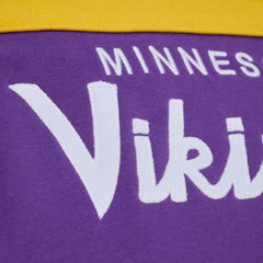 Minnesota Vikings Head Coach Hoodie - Purple outlet