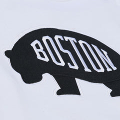 Boston Bruins Mitchell & Ness Arctic Fleece Hoodie - White Hoodies