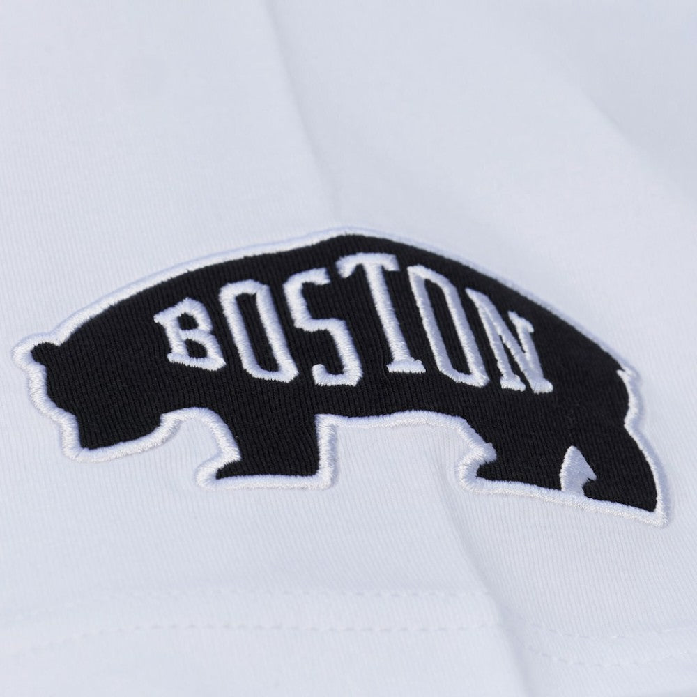 Boston Bruins Mitchell & Ness Arctic T-Shirt- White T-shirts