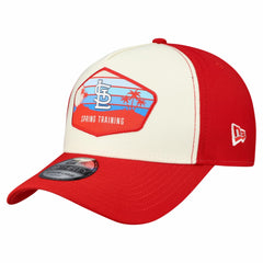 St. Louis Cardinals 2026 Spring Training Fan Pack Gradient 39THIRTY Flex Hat Stone