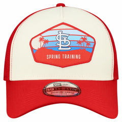 St. Louis Cardinals 2026 Spring Training Fan Pack Gradient 39THIRTY Flex Hat Stone