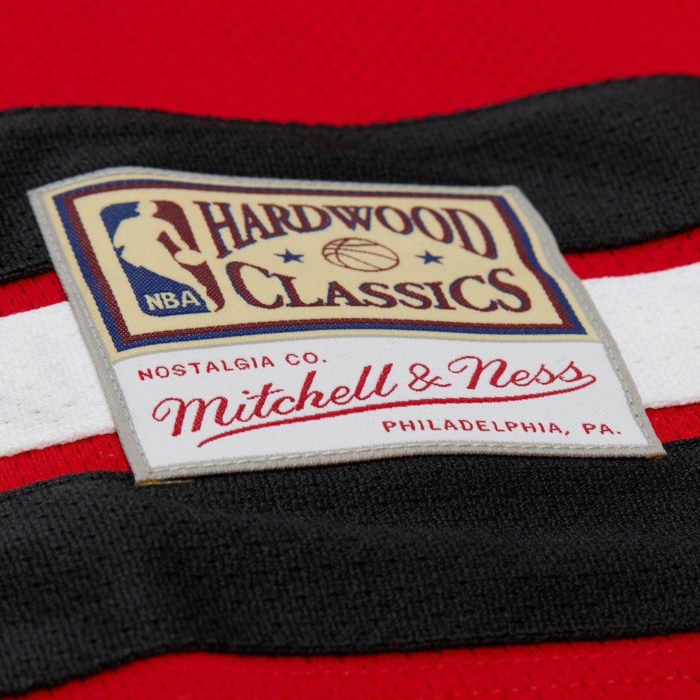 Dennis Rodman Chicago Bulls Unisex Maxxed Out Fashion Hockey Jersey sale - Red outlet