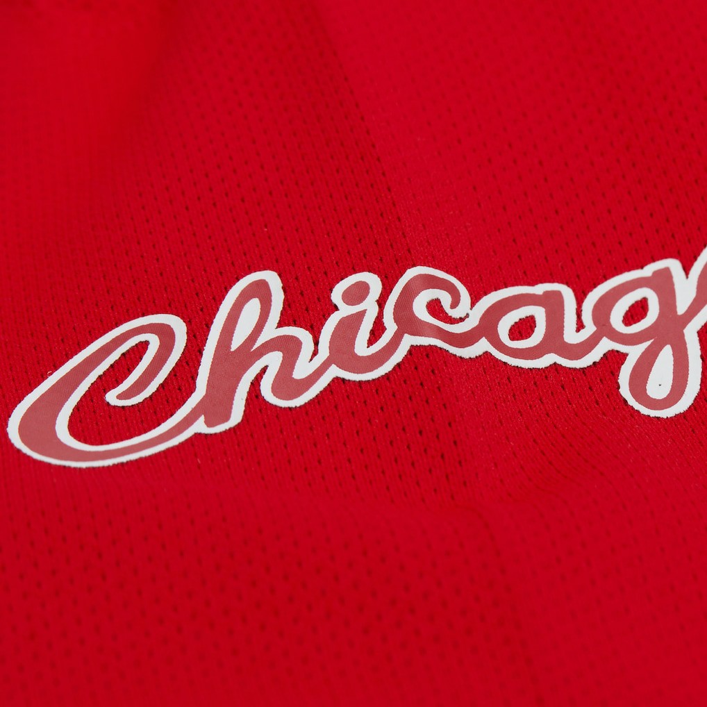 Dennis Rodman Chicago Bulls Unisex Maxxed Out Fashion Hockey Jersey sale - Red outlet