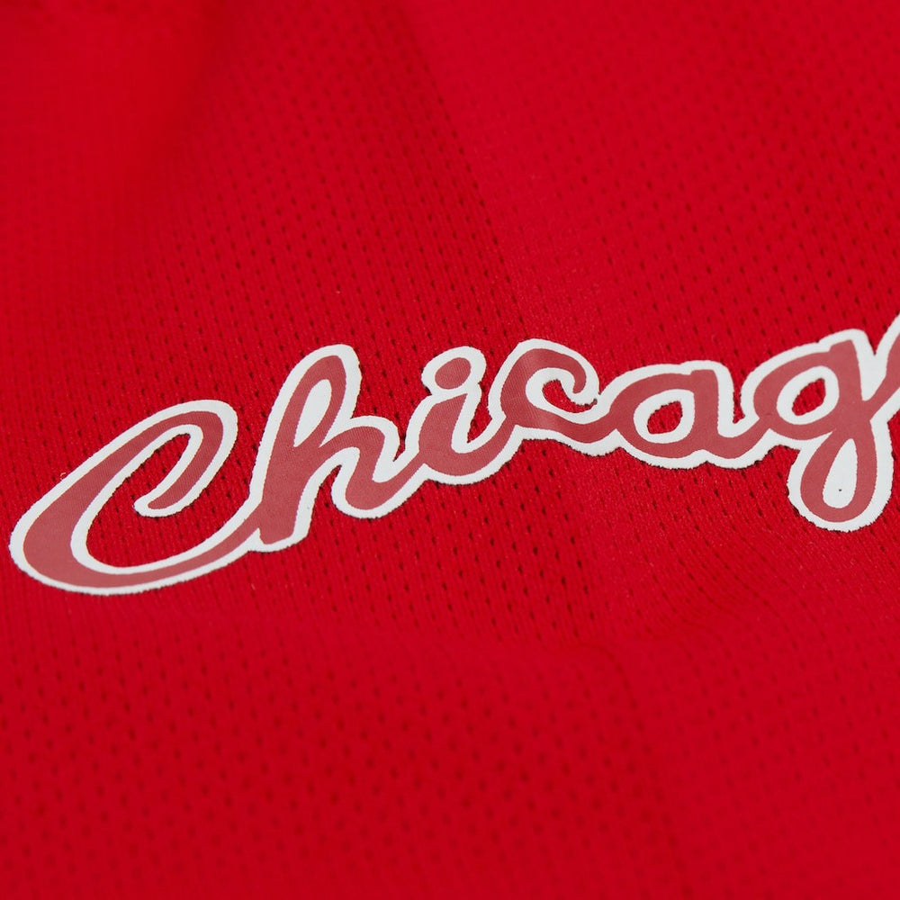 Dennis Rodman Chicago Bulls Unisex Maxxed Out Fashion Hockey Jersey sale - Red outlet