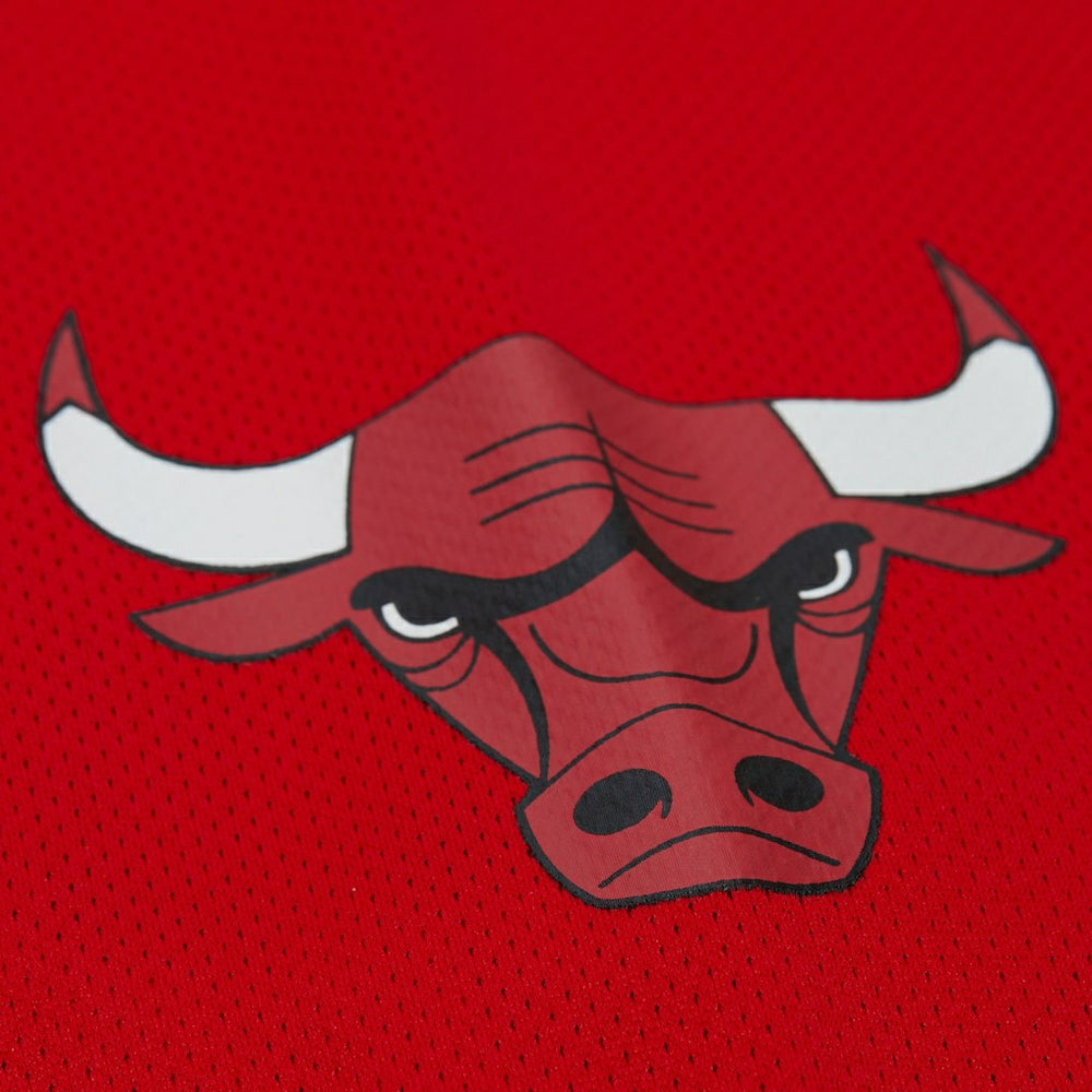 Dennis Rodman Chicago Bulls Unisex Maxxed Out Fashion Hockey Jersey sale - Red outlet