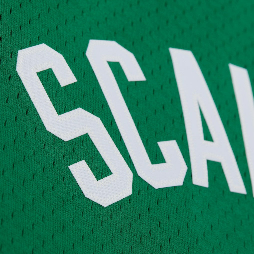 Brian Scalabrine Boston Celtics 2007/08 Hardwood Classics Swingman Jersey - Kelly Green sale
