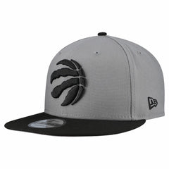 Toronto Raptors Core Logo Storm Gray Two-Tone 9FIFTY Snapback Hat - Gray online
