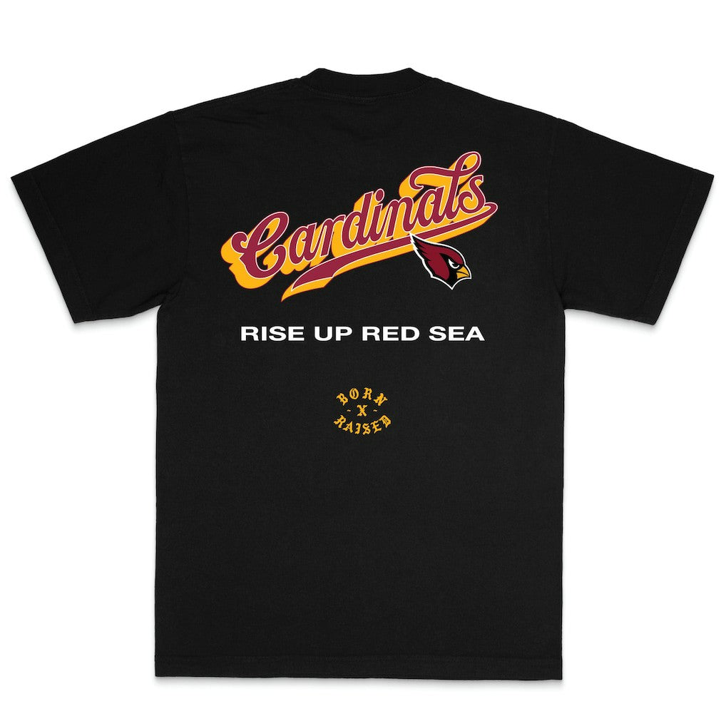 Arizona Cardinals Born x Raised Unisex Pro Script T-Shirt - Black outlet