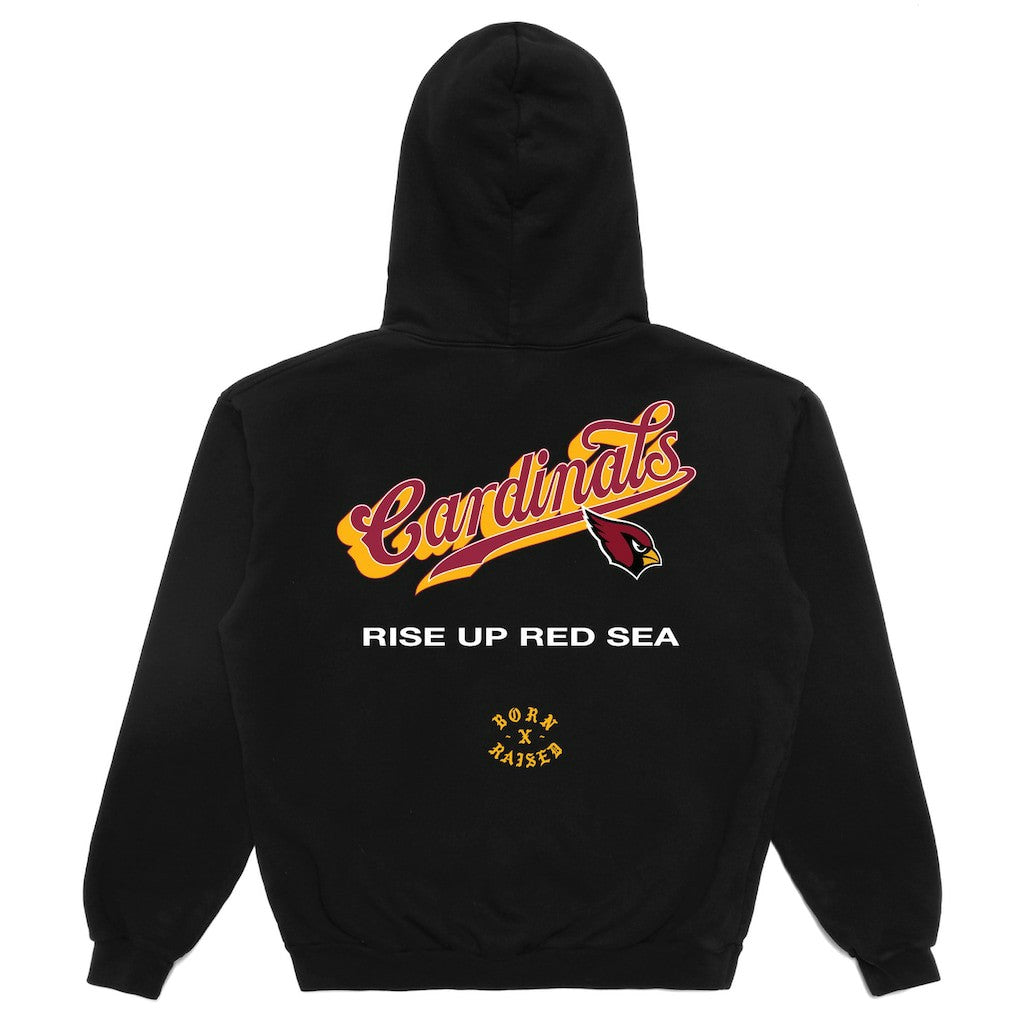 Arizona Cardinals Born x Raised Unisex Pro Script Hoodie - Black discount