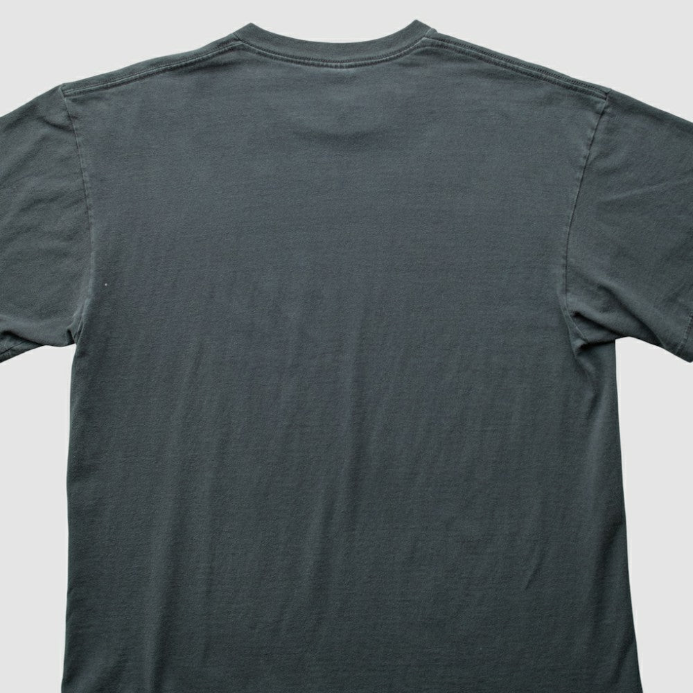 Pittsburgh Pirates 2000s T-Shirt Gray Vintage