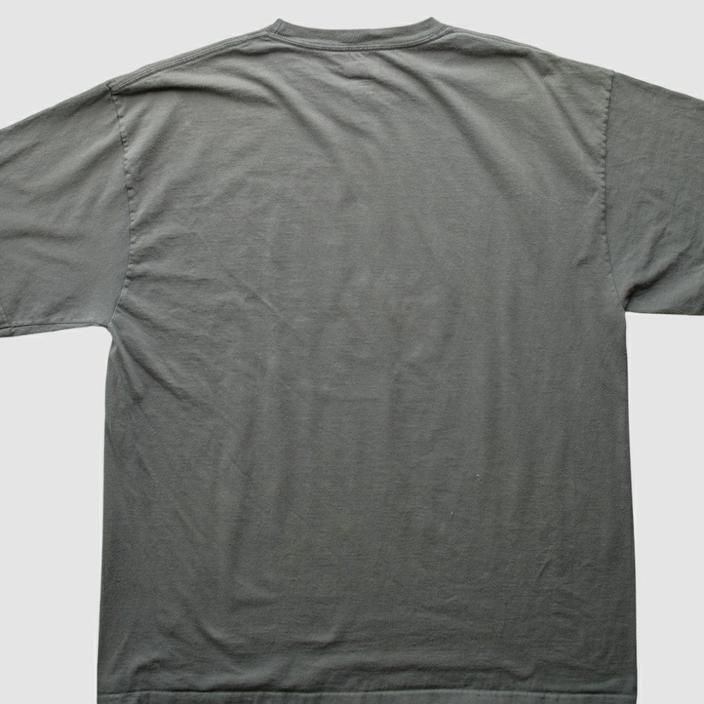 Texas Rangers 2010 T-Shirt Gray Vintage