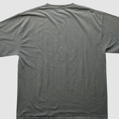 Texas Rangers 2010 T-Shirt Gray Vintage