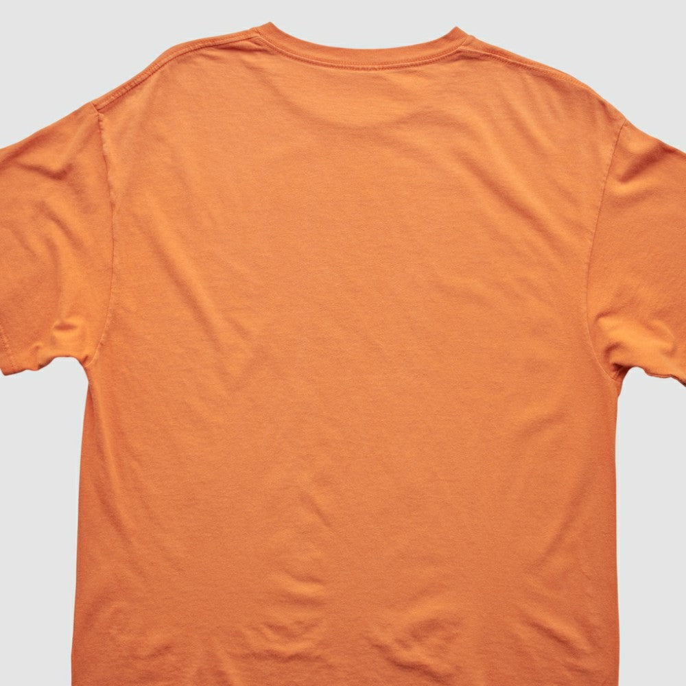 Detroit Tigers 2013 T-Shirt Orange Vintage