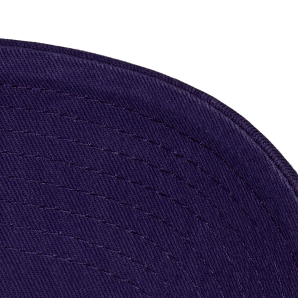 Toronto Raptors Hardwood Classics 1904 Adjustable Hat - Purple for sale