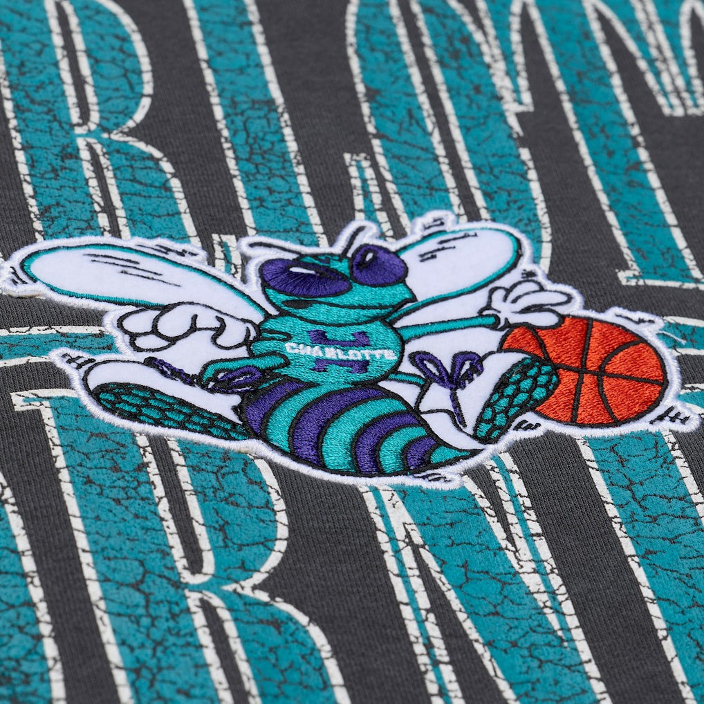Charlotte Hornets NBA Downtown Collection Fleece Sweatshirt - Black for sale