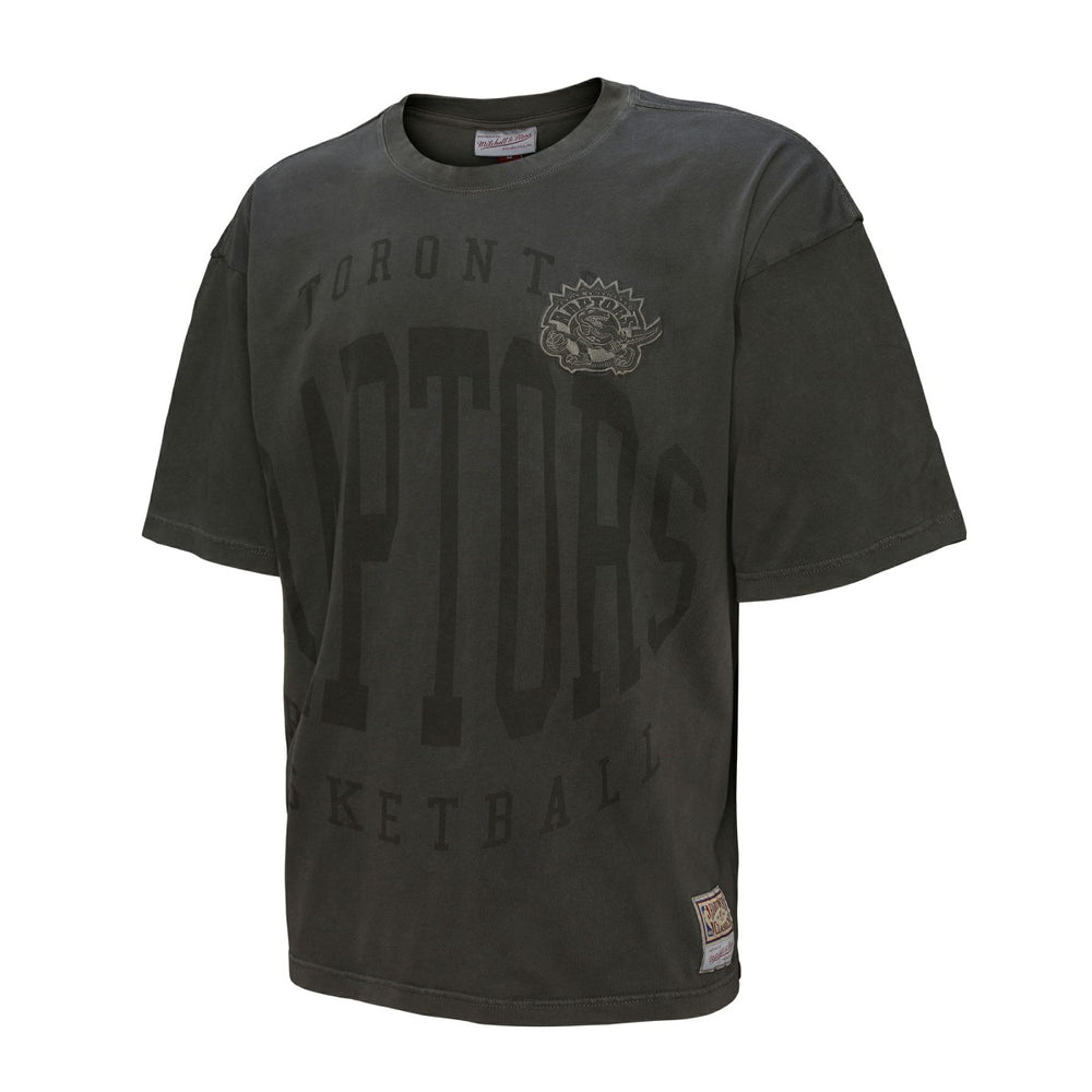 Toronto Raptors Downtown Collection Premium T-Shirt - Black outlet