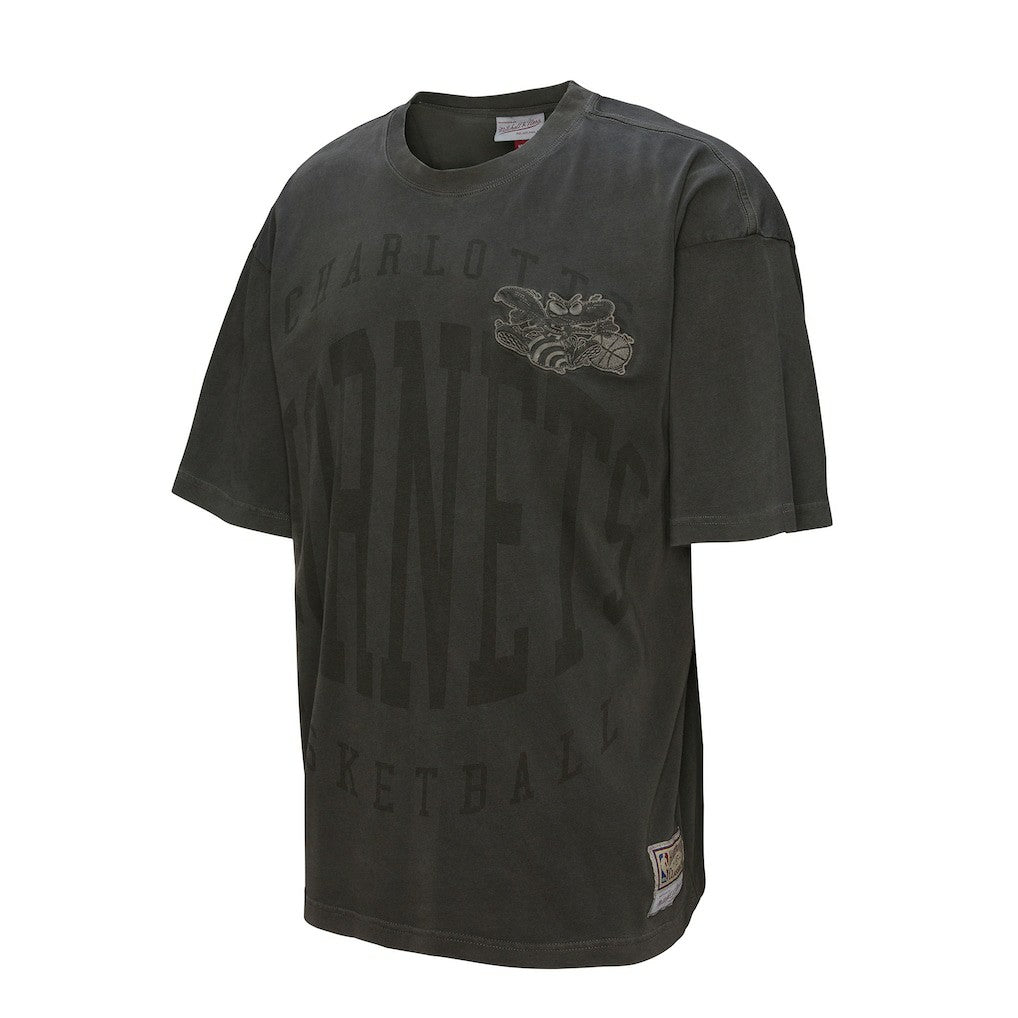 Charlotte Hornets Downtown Collection Premium T-Shirt - Black sale