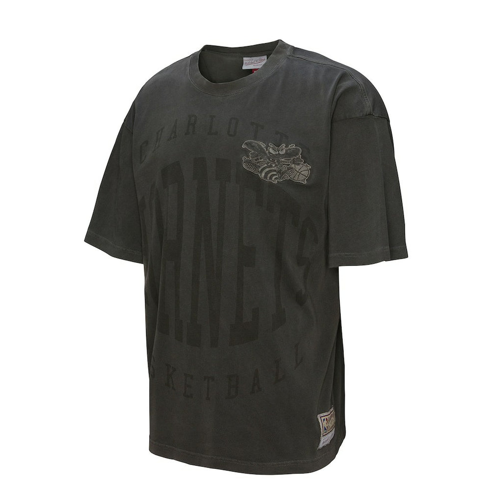 Charlotte Hornets Downtown Collection Premium T-Shirt - Black sale