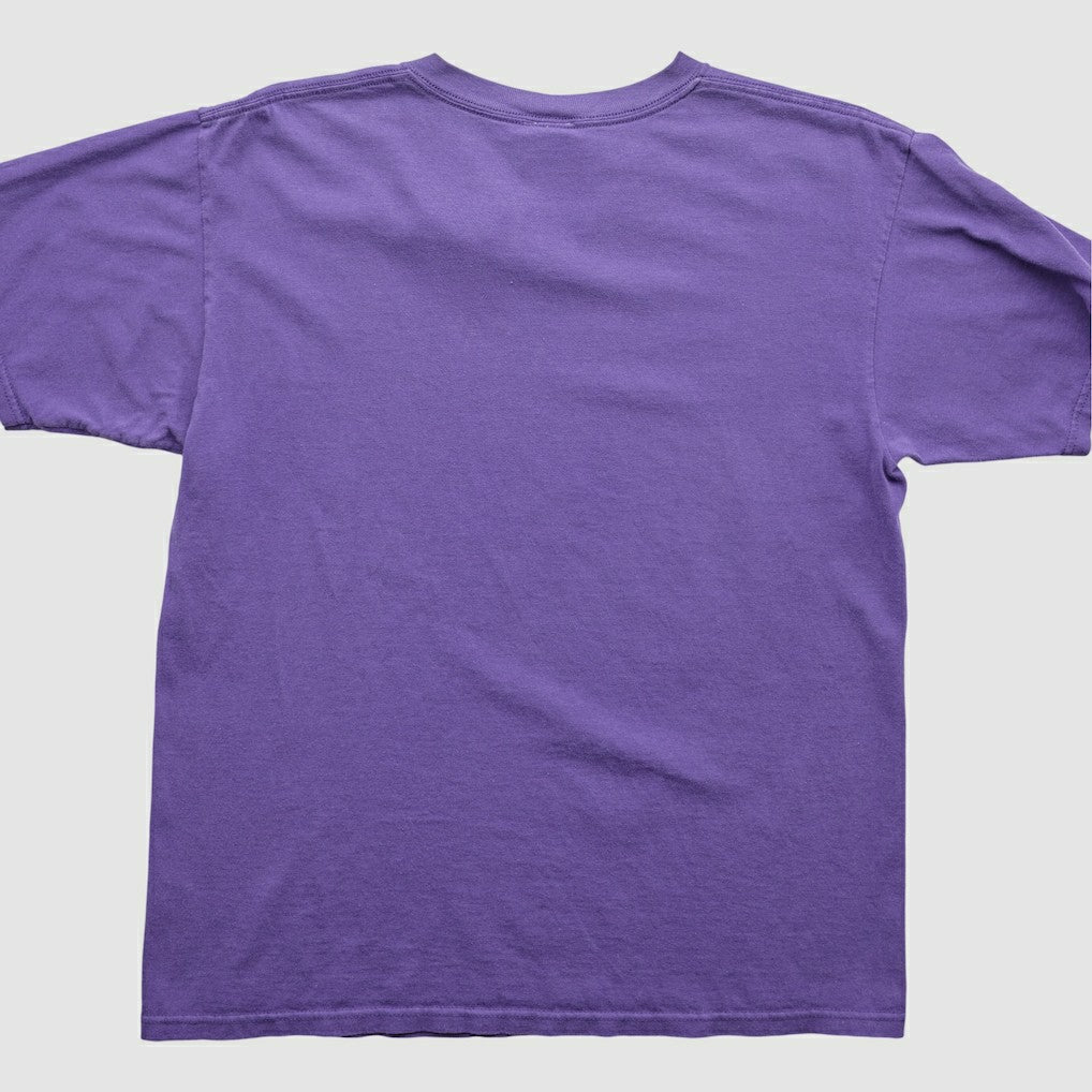 Minnesota Vikings NFL 2000s T-Shirt - Purple Vintage outlet