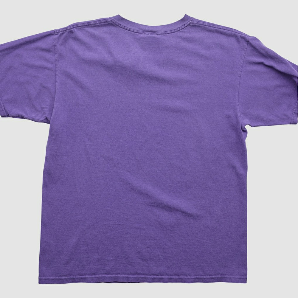 Minnesota Vikings NFL 2000s T-Shirt - Purple Vintage outlet