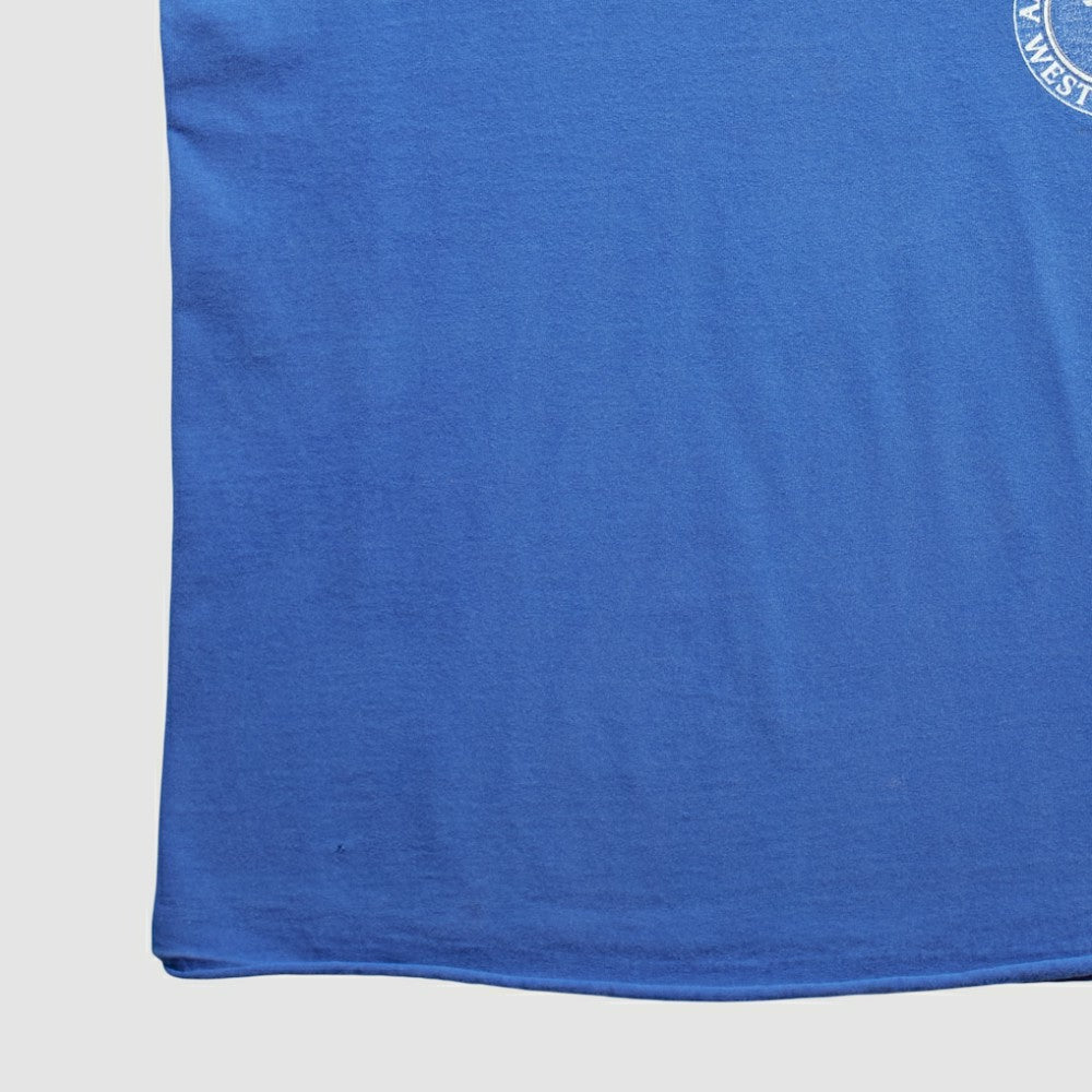 Texas Rangers Lee Apparel 2000s T-Shirt Blue Vintage
