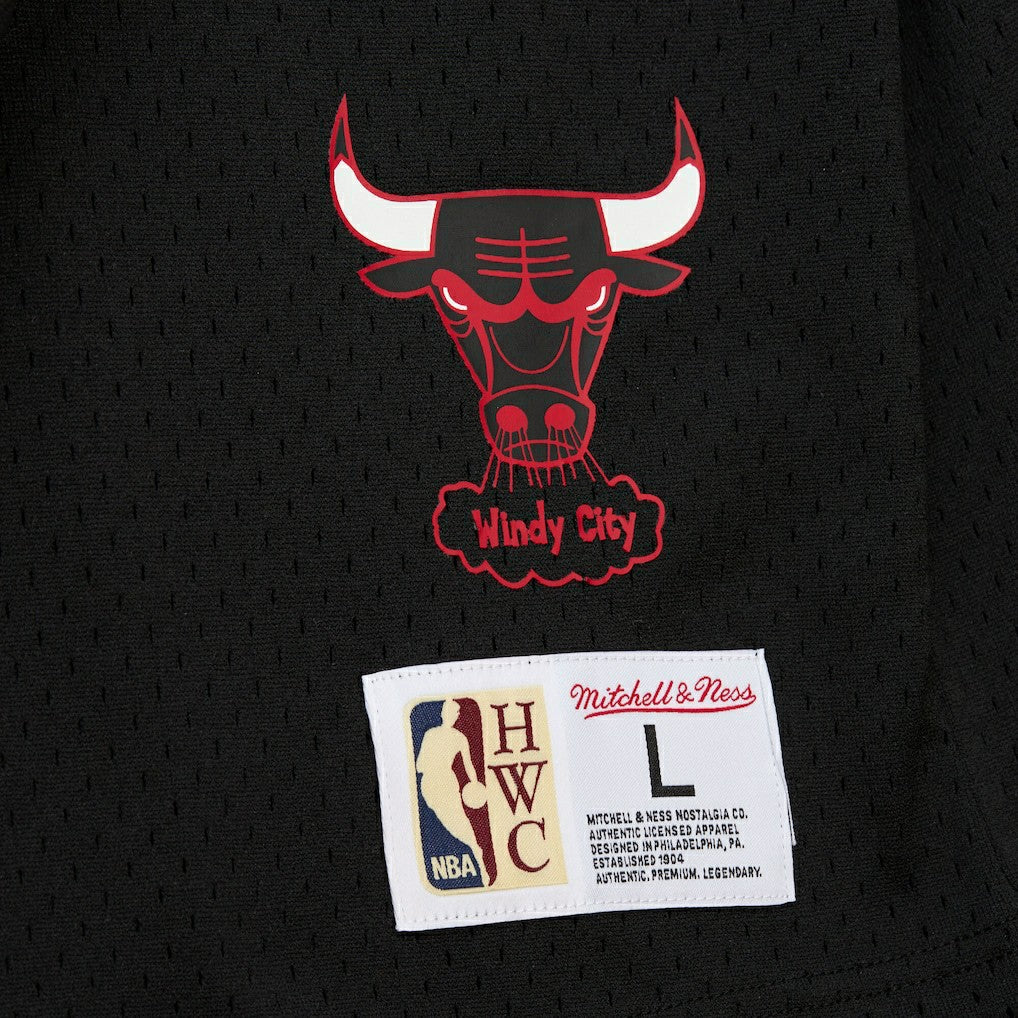 Dennis Rodman Chicago Bulls Mesh Name & Number Short Sleeve Hoodie sale - Black on sale