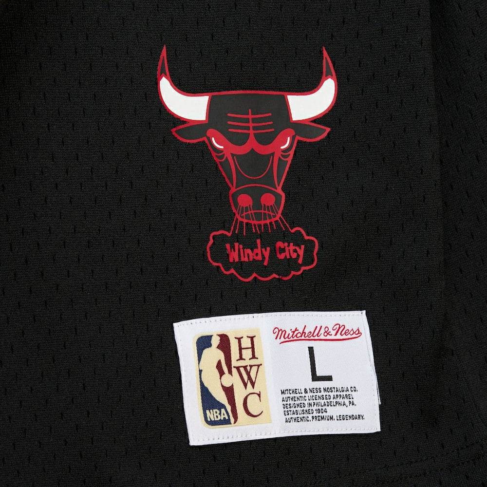 Dennis Rodman Chicago Bulls Mesh Name & Number Short Sleeve Hoodie sale - Black on sale
