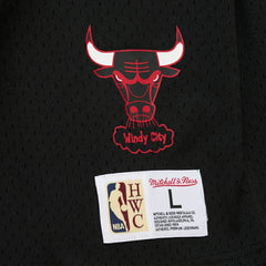 Dennis Rodman Chicago Bulls Mesh Name & Number Short Sleeve Hoodie sale - Black on sale