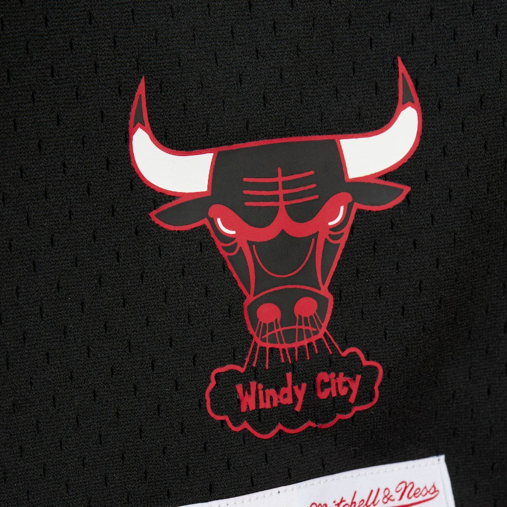 Dennis Rodman Chicago Bulls Mesh Name & Number Short Sleeve Hoodie sale - Black on sale