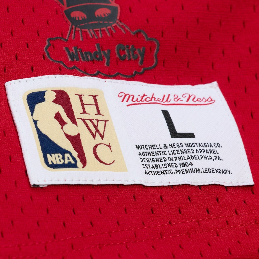 Scottie Pippen Chicago Bulls Mesh Name & Number Short Sleeve Hoodie sale - Red for sale