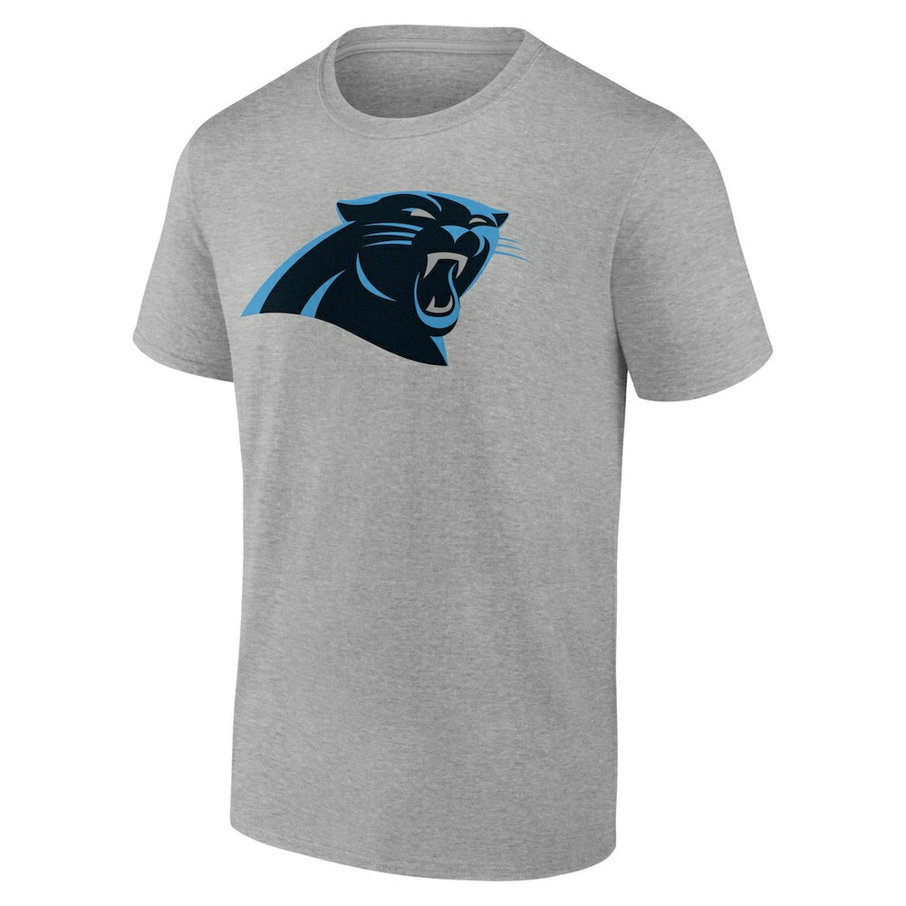 Carolina Panthers Big & Tall Team Authentic Custom T-Shirt - Gray on sale