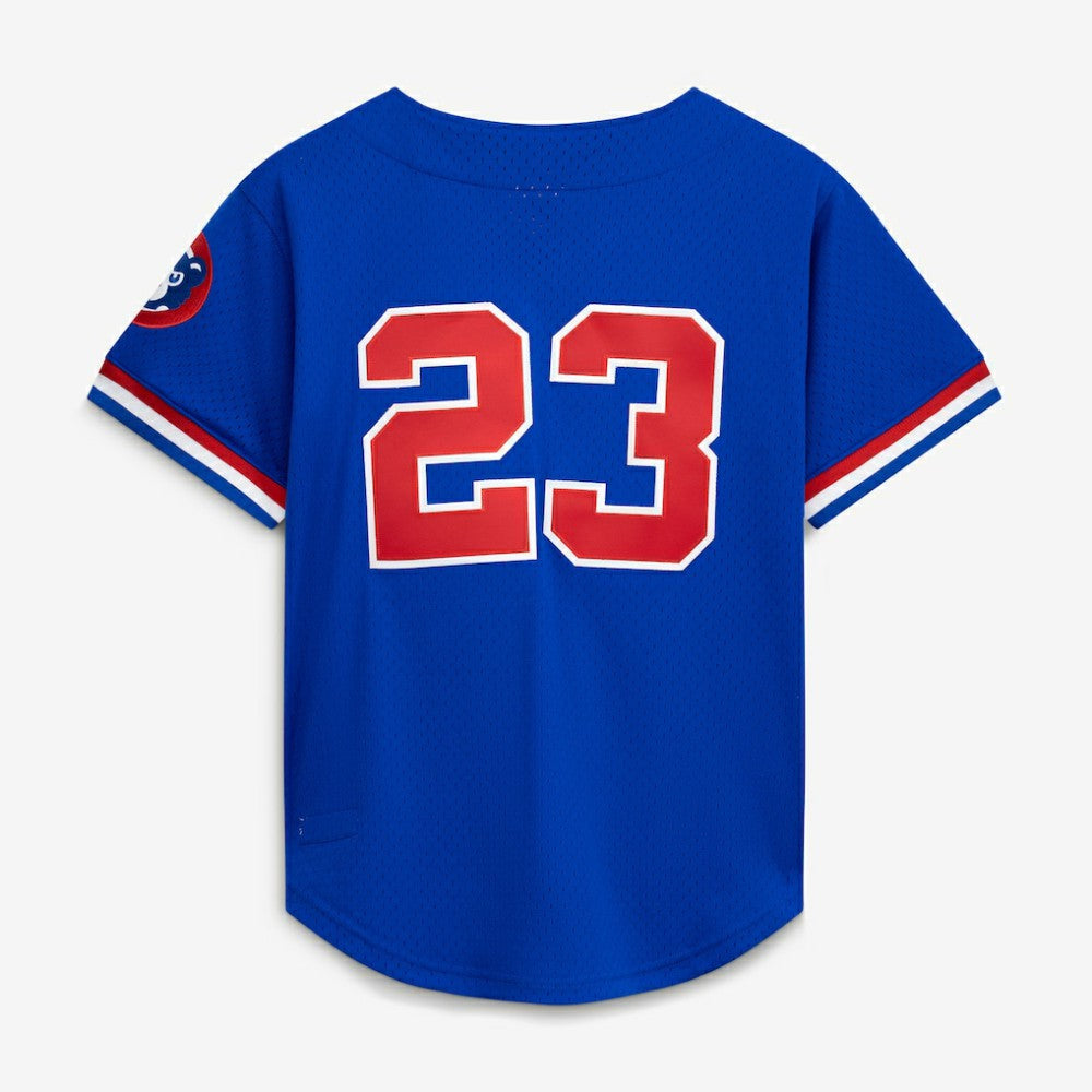 Ryne Sandberg Chicago Cubs Cooperstown Collection 1996 Mesh Batting Practice Button-Up Jersey Royal
