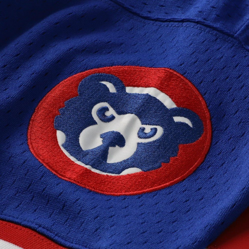 Ryne Sandberg Chicago Cubs Cooperstown Collection 1996 Mesh Batting Practice Button-Up Jersey Royal