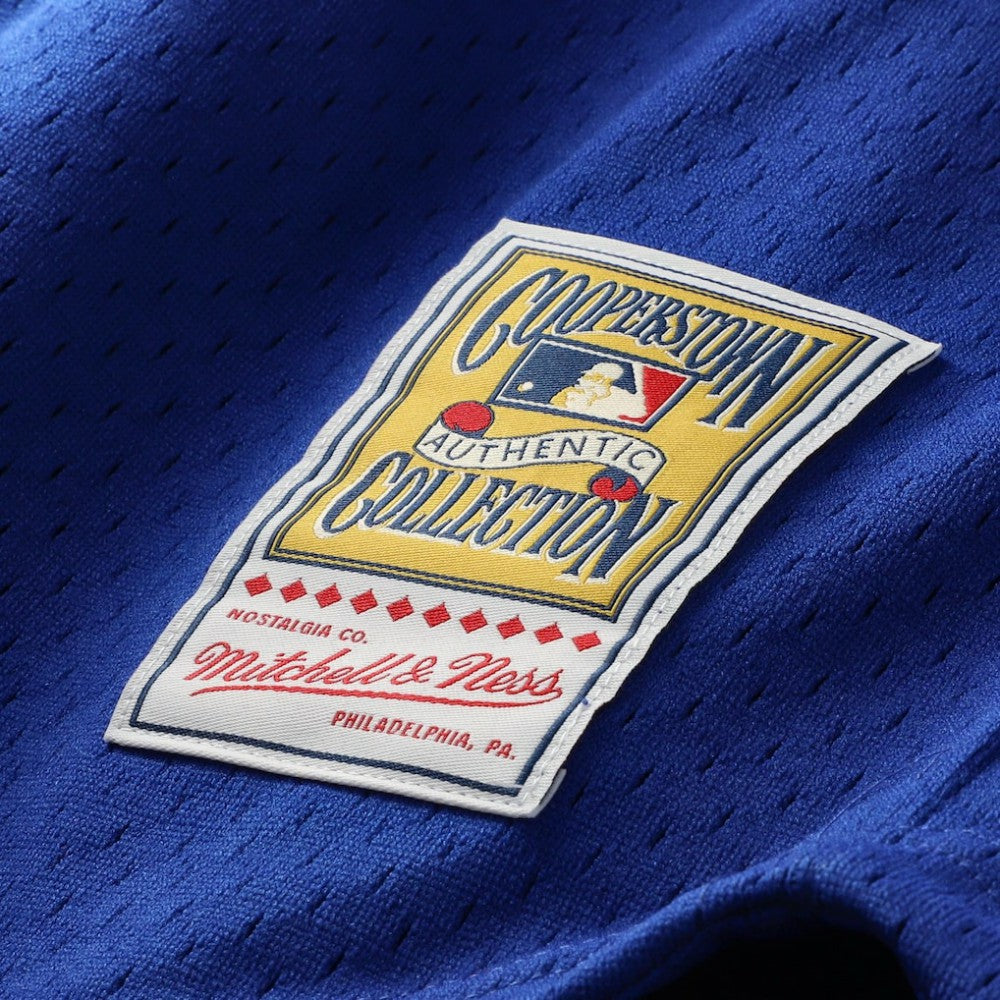 Ryne Sandberg Chicago Cubs Cooperstown Collection 1996 Mesh Batting Practice Button-Up Jersey Royal