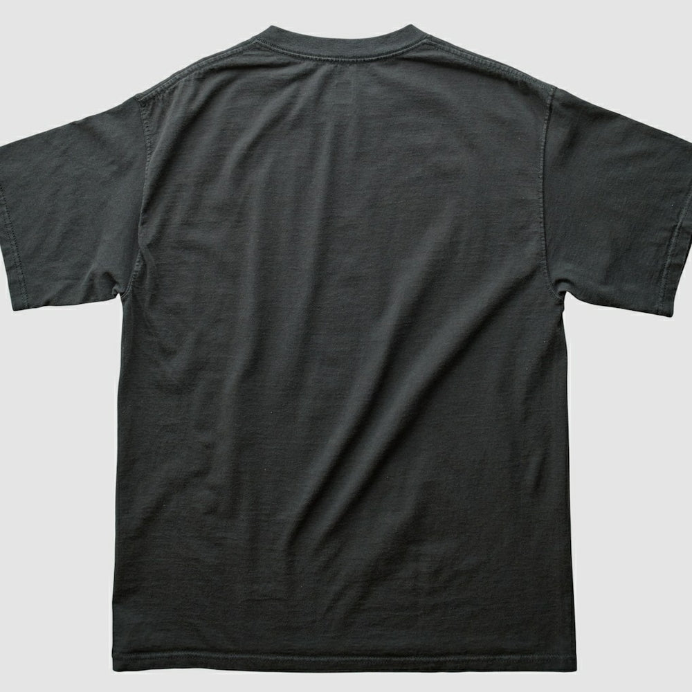 Pittsburgh Steelers NFL 2000s T-shirt - Black Vintage online