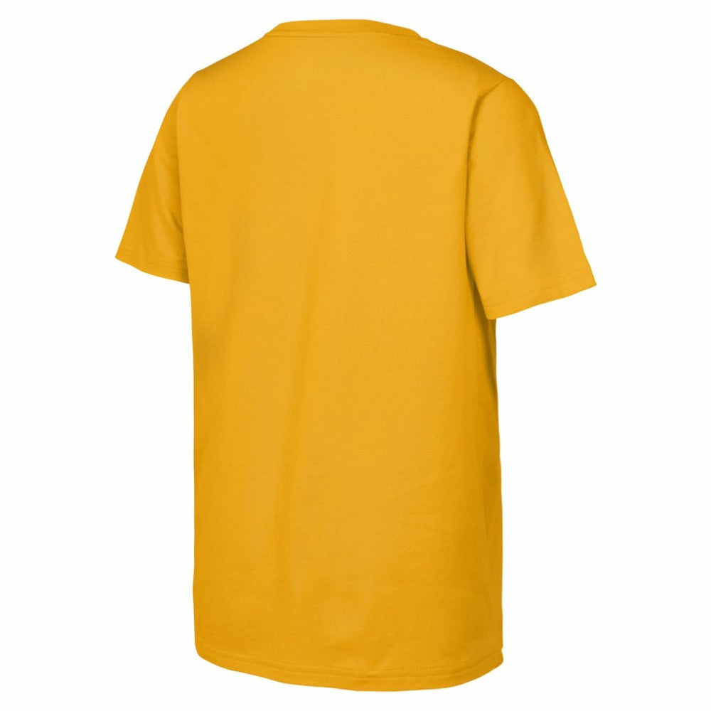 Boston Bruins Fanatics Youth 2026 NHL Stadium Series Authentic Locker Room T-Shirt - Gold T-shirts